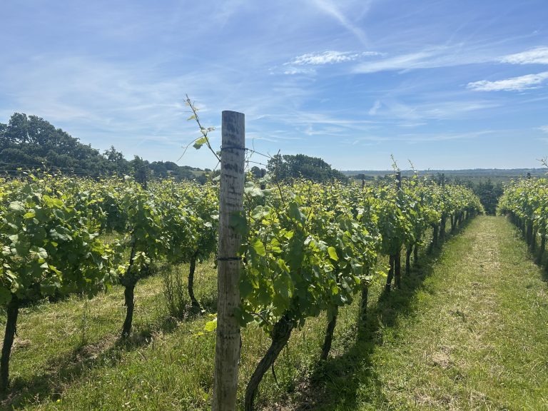 NORD Celebrates English Wine Week